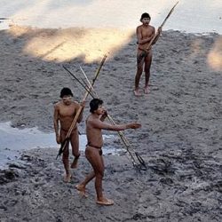 Covid-19: "Estamos com medo de ser dizimados", diz Tupinambá Nice Gonçalves