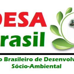 IDESA-Brasil retoma atividades