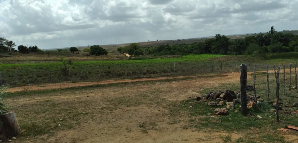 Existe um lugar chamado Brejo do Cajueiro, um paraíso abençoado por Deus e abandonado por Propriá