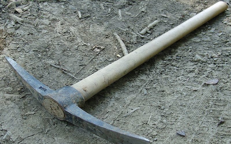Fique de olho: Bando de PICARETAS infestando às câmaras municipais.