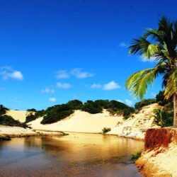 Artigo: Lagoa Redonda, paraíso das águas em Sergipe - lendas, história e santuário ambiental