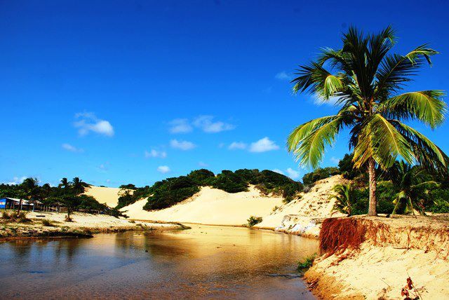 Artigo: Lagoa Redonda, paraíso das águas em Sergipe - lendas, história e santuário ambiental