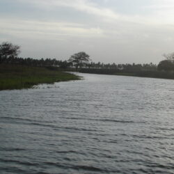 Procissão fluvial de Bom Jesus dos Navegantes abre hoje (01) em Marimbondo calendário cultural em Pirambu