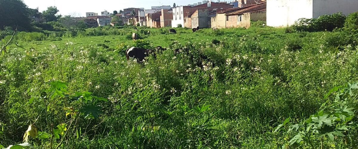 Até quando: ameaça em plena zona urbana de Propriá