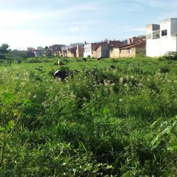 Até quando: ameaça em plena zona urbana de Propriá