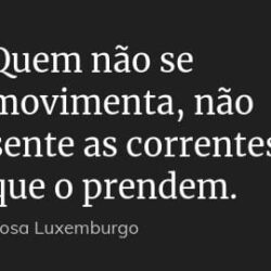Em PROPRIÁ, “quem não se movimenta, não sente as correntes que o prendem” - Rosa Luxemburgo