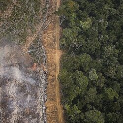 Floresta ameaçada: Efeito Bolsonaro: Amazônia perdeu área do tamanho da Bélgica nos últimos três anos