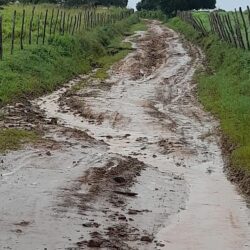 SOS BREJO DO CAJUEIRO: Atenção políticos de Propria, aqui também temos seres humanos