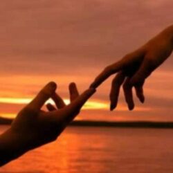 A SEMANA na web rádio TRIBUNA DA PRAIA, uma trincheira em defesa da sociedade, um microfone que já nasceu com o peso de 39 anos de história