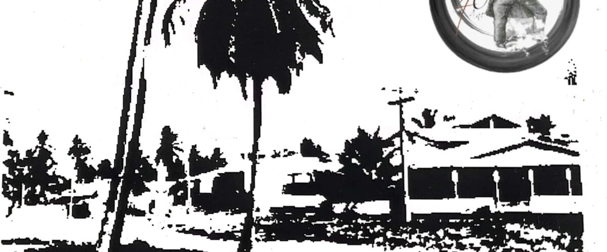 A SEMANA na web rádio TRIBUNA DA PRAIA, o peso de um microfone com a trajetória de 40 anos de história